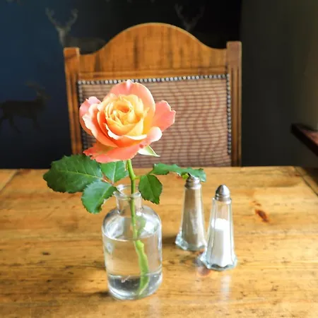 酒店 The Blue Bell